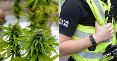 'It's not just cities': Drugs worth £125k found in raid on Scottish island