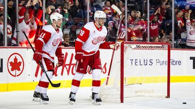 Red Wings Lose Veteran Forward to Season-Ending Injury