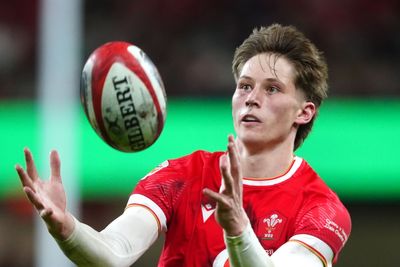 Ellis Mee reflects on promising Wales debut that evoked memories of George North