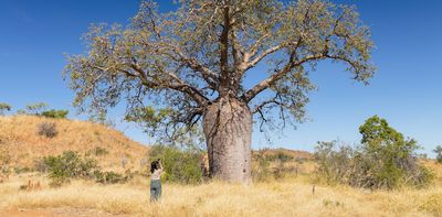 I spy with my little eye: 3 unusual Australian plant ecosystems to spot on your next roadtrip