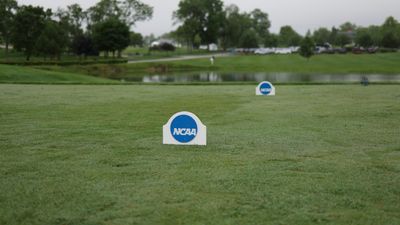 What Is The Difference Between D1 And D2 College Golf?