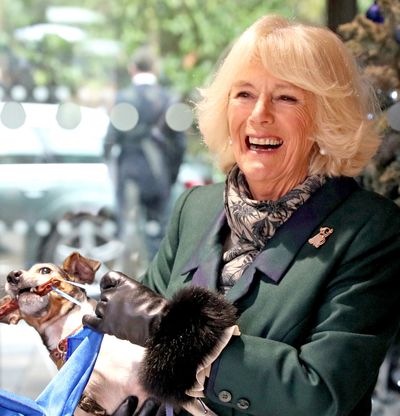 All the Details on Queen Camilla's New Puppy