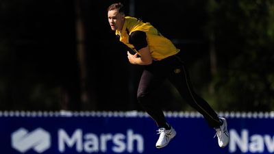 Aussie quick Behrendorff walks away from state cricket