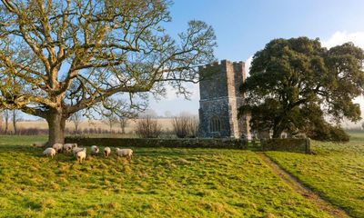 Far from the madding crowd: my personal pilgrimage on the quiet paths of Thomas Hardy’s Dorset