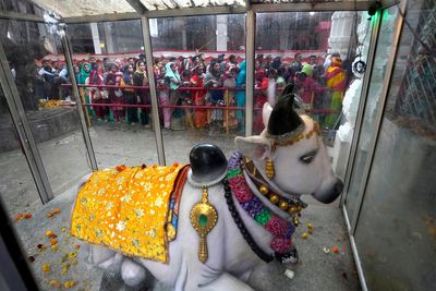 AP PHOTOS: Devotees across India celebrate the Shivaratri festival in honor of Hindu god Shiva