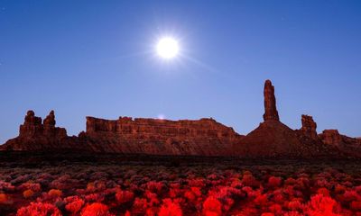 Trump may rue firing experts when environmental rollbacks land in court