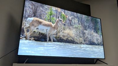 After months of searching, we have a new value-for-money Mini LED TV champion