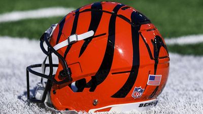 Cincinnati Bengals Least Family-Friendly Franchise For Third Straight Season