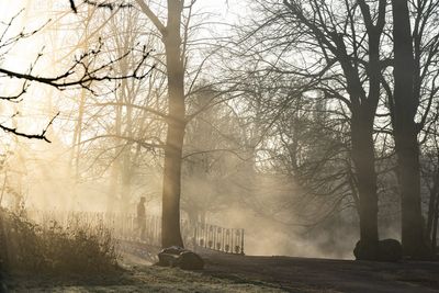 South of England set for week of sunshine as Scotland faces snow and high winds