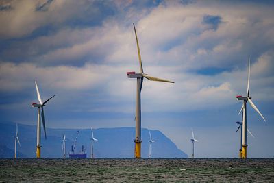 UK wind turbines painted black to stop deadly bird strikes ‘in concession to Donald Trump’