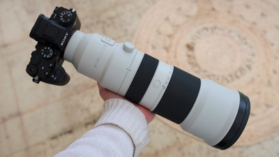 Sony unveils its first lens with a massive 800mm reach – and it could be a dream optic for wildlife photography