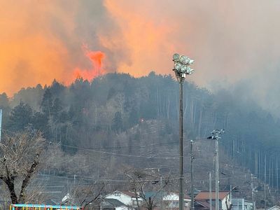 Thousands evacuated as forest fires sweep northern Japan