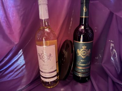 Ever wonder about the wine Oscar nominees drink? We gave it a taste