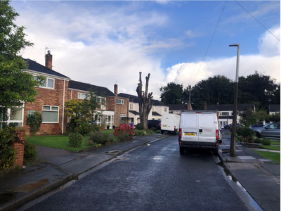 Man fined for cutting down tree in his garden worth £114,000