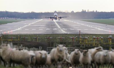 What are the next steps for expansion at London Gatwick and Heathrow?