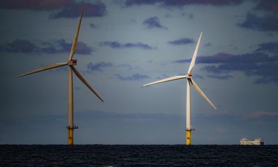 UK’s offshore windfarms to be painted black to protect birds