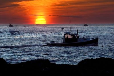 New England ocean warming slows but temperatures remain high