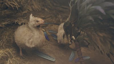 How to customize your Seikret in Monster Hunter Wilds