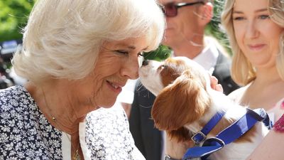 Queen Camilla announces that she’s adopted a new rescue puppy