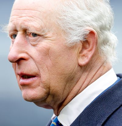 Former Royal Butler Reveals One Thing You'd "Never Catch" King Charles Doing