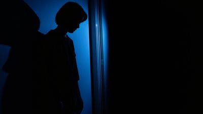 Careers, education casualties of domestic violence