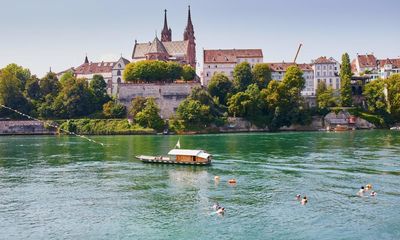 ‘Green roofs deliver for biodiversity’: how Basel put nature on top