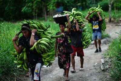 UN talks end in Rome with nations backing $200 billion a year plan to protect nature