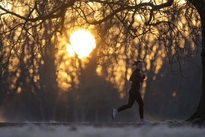 March weather will start more like a lamb than a lion, Met Office says