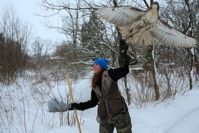 Midwest winters are changing. So is the ancient sport of falconry