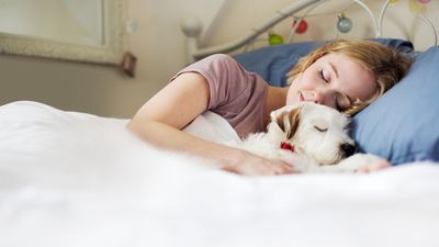 Sharing your bed with a pet? Here's why sleep experts say that's a bad idea