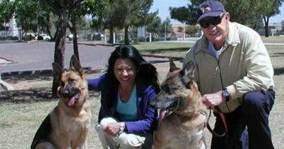 Gene Hackman Investigators Share Update On The Dogs That Survived