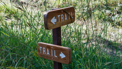 South Carolina hikers can return to the trails as popular park reopens, five months after Hurricane Helene