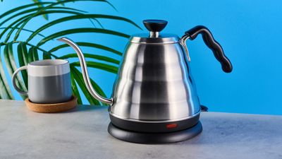 I tested iconic coffee brand Hario’s gooseneck kettle, and it’s left me a little confused