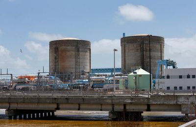 Ageing nuclear plant in Florida at risk from climate crisis, advocates warn