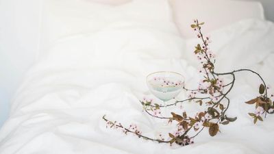 Can’t get to sleep? Grounding bed sheets could be the answer – but I need convincing