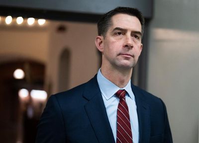 Tom Cotton gingerly steps on Trump’s toes as he eviscerates TikTok in book