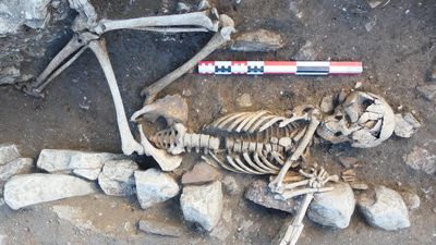Archaeological findings on France's Ile de Ré reveal North Sea trade links