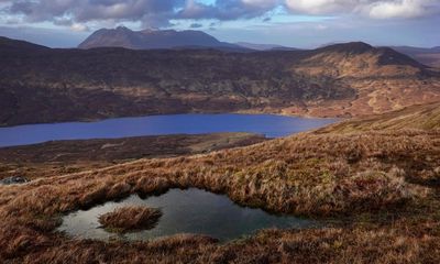 Mystery donor’s £17.5m gift could turn Scottish estate into rewilding showcase