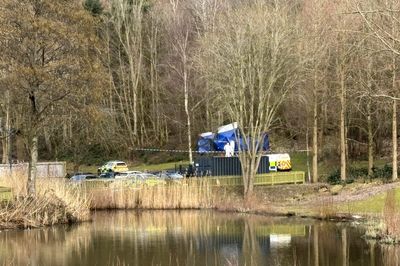 Police investigation after skeletal human remains found in wood