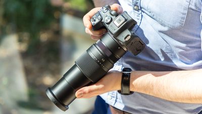 If you’re looking for a kit lens upgrade, you NEED to add Sigma’s 16-300mm superzoom to your kit bag!