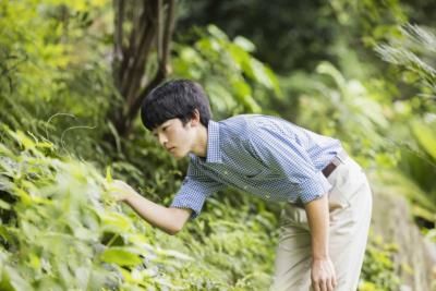 Prince Hisahito To Study Dragonflies And Balance Royal Duties