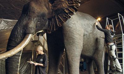 Archive of the Future review – mesmerising safari through Vienna’s natural history museum