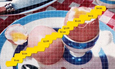 $5 a dozen: major egg companies may be using avian flu to hike US prices, new report finds