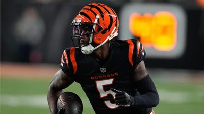 Bengals' Tee Higgins has been franchise-tagged for the second consecutive season