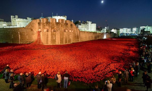 VE Day 2025: Tower of London poppies to return to mark 80th anniversary