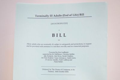 Assisted dying Bill committee to consider domestic abuse amendment