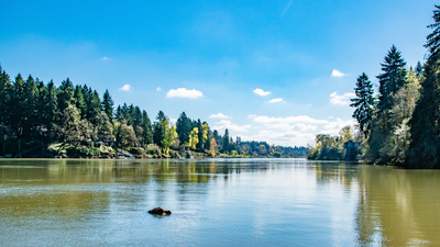 Open water swimmers in Oregon can soon take a dip in serene Lake Oswego after a ban on swimming there was lifted