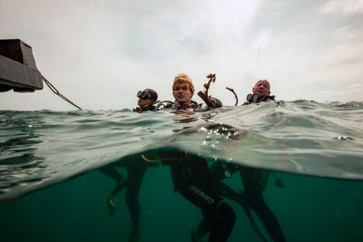 Coral reefs in Vietnam face collapse. Can conservation efforts turn the tide?
