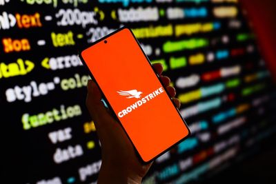 CrowdStrike's Growth Remains Strong—Buy While It's Down