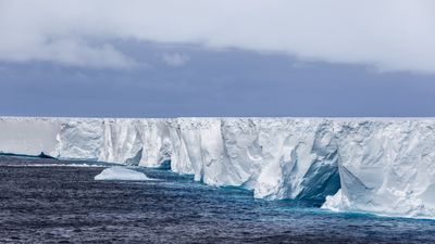 'Queen of icebergs' A23a grounds off South Atlantic wildlife haven